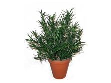 ��35/143 - 390 - ������ 25%