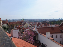 ����� �� ��������� �����