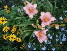 �������� ���������-100