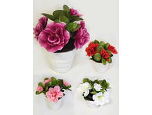 ��12/40(012) - 165