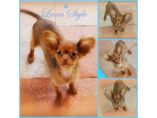 ����� ������.jpg