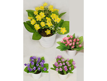 ��12/173(006) - 165 - ������ 25%