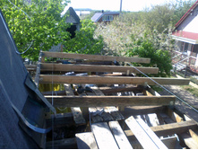 ������ ����� ������� �� ���� 7-8 ����