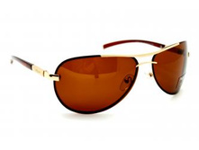 ������� ��������������� ���� Polar Vision 3851 c05 250�.jpg