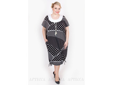 ������ SV200/1.1.jpg