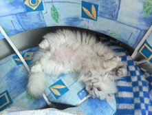 2015-03-15 13.57.32.jpg