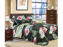 ����� ����� ���-1 ������.jpg