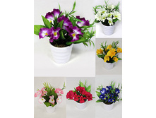 ��15/38(005) - 165 - ������ 25%