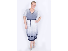 ������ SV193.1.jpg