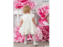 ������ ����������� ��� ������� PSA061401...jpg