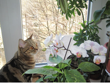 ... � ��� ��� � ���� ��������?