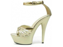 ����� ����� ����������