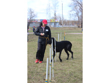 ��ӣ��� ������ 3.JPG