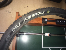 DSC_0495.JPG