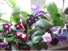 ���������