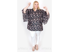 ������ W004/1.1