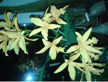 ����-0135.jpg
