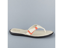 2338 36-44p 2500.jpg