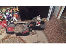 2015-03-10 22.09.56.jpg