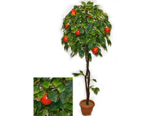 160/��/35 - 2970