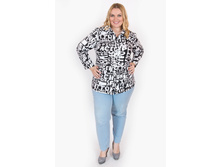 ������ H149.1