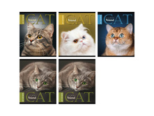 ������� 48�. �5 ����� �������. Furry friend, ��-��� 13,12.jpg