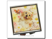 ��������� ����� (<<�� ��������� ����>>) � ������ - 411 ������