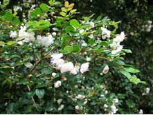 ���� - ������ �������� ...