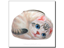 ��������� ��� ����������, ������ �/�, ����� �����