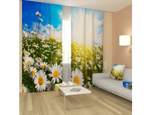 «���� �������».png