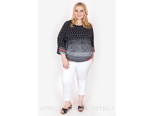 ������ SV190.1.jpg