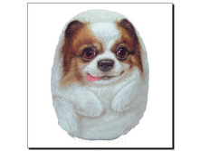 ������� M ������� ���� - 564 �����