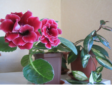 ��������� ������� �������