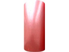 small_shop_items_catalog_image2963.jpg
