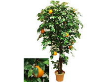 180/���/73� - 5760