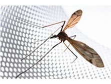 ����� �� ������� ��� ������ �� 1.5��2� 135�.jpg