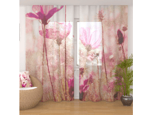 �������� <<�������>>