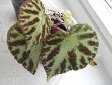 20150429_154203.jpg