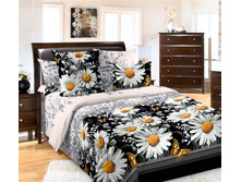 ��������� 220 19334 ��� 1.jpg