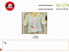 katalog  2015 carrot (1)_page_02.jpg