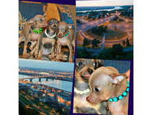 ����� ������.jpg