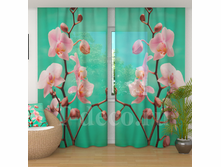 �������� <<�������>>