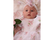 ������ � �������.