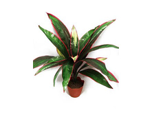 c�60/66 - 400 - ������ 25%