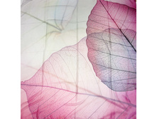 15SXF011 ��� 2.jpg