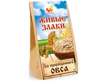 ����� ����� �� ������������ ����. 40 ���..jpg