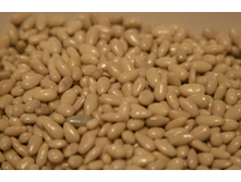 ���� �������������_� ���������� �������.jpg