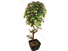 80/��/24� - 4370