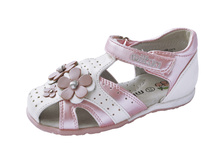 sc-2204 (23������), 575���.