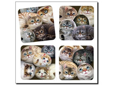 ��������� ��������� <<����� �����>> - 251 �����